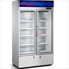 Tủ mát 2 cánh mở có quạt gió kingsun SLG-860F